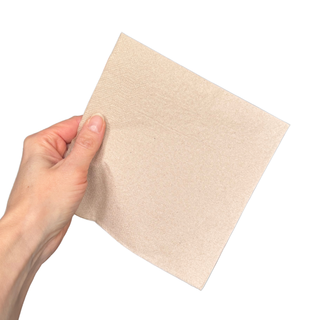 Large Recycled Napkins (compostable)