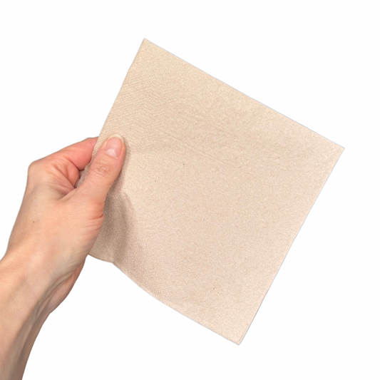 Large Recycled Napkins (compostable)