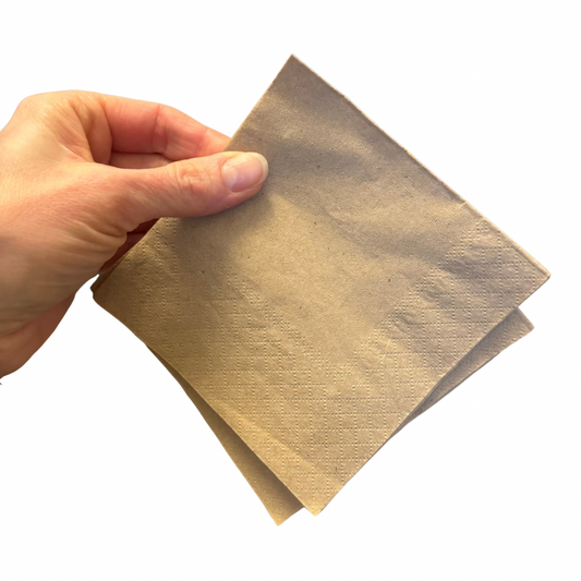 Small Recycled Napkins (compostable)