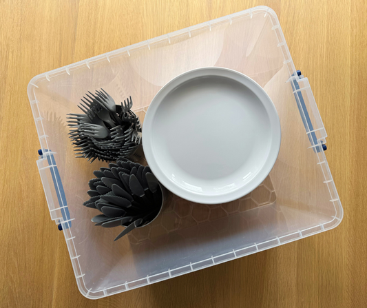 Adults Basic Party Kit (for 10)