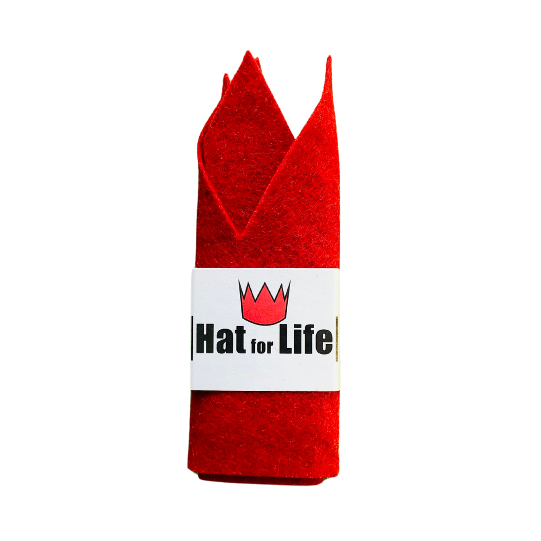 Reusable Party Crown