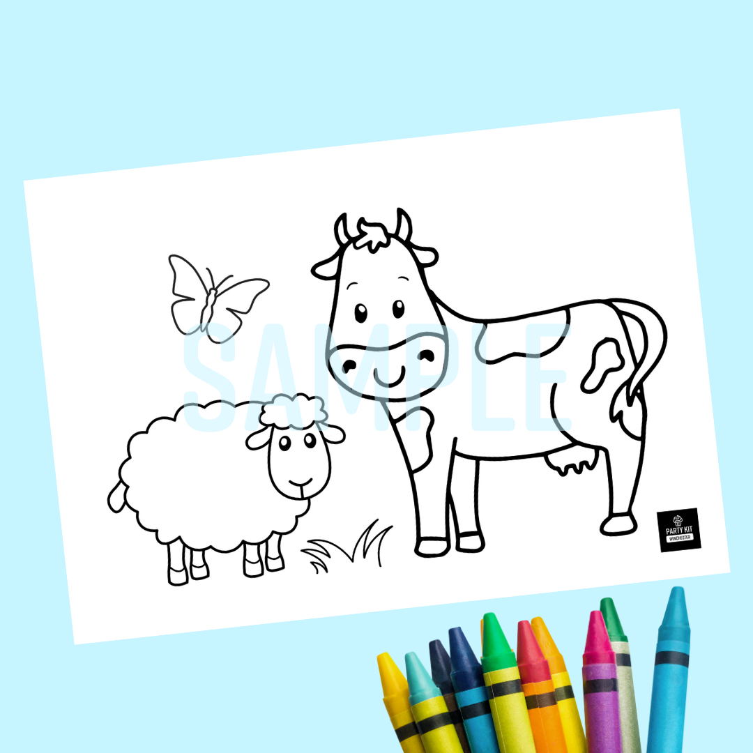 Party Crayons & Colouring Activity