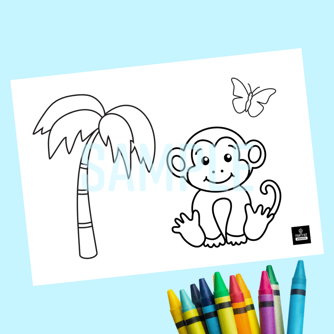 Party Crayons & Colouring Activity